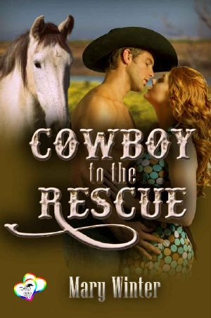 [Two Hearts Rescue South 04] • Cowboy to the Rescue (2 Hearts Rescue South Book 4)